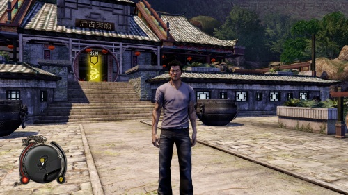 Sleeping Dogs