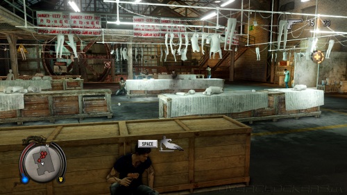 Sleeping Dogs